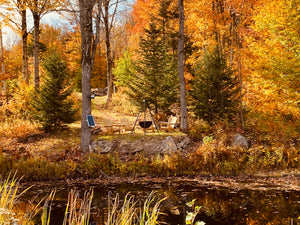 Welcome Autumn: Discover the Best Fall Foliage Hikes with Vermont